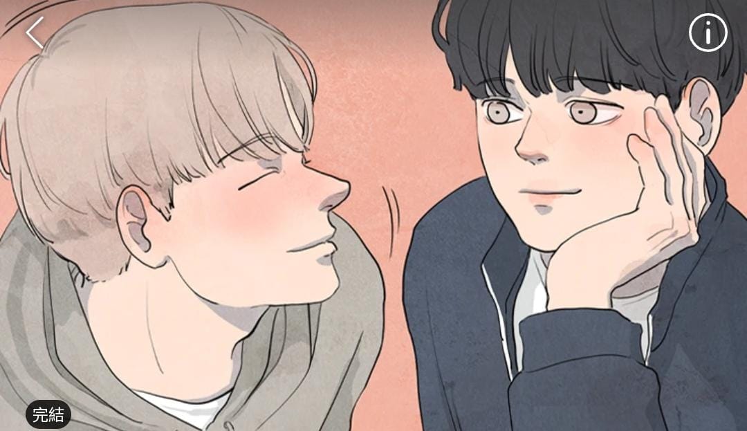 The Aesthetic of Good Looking